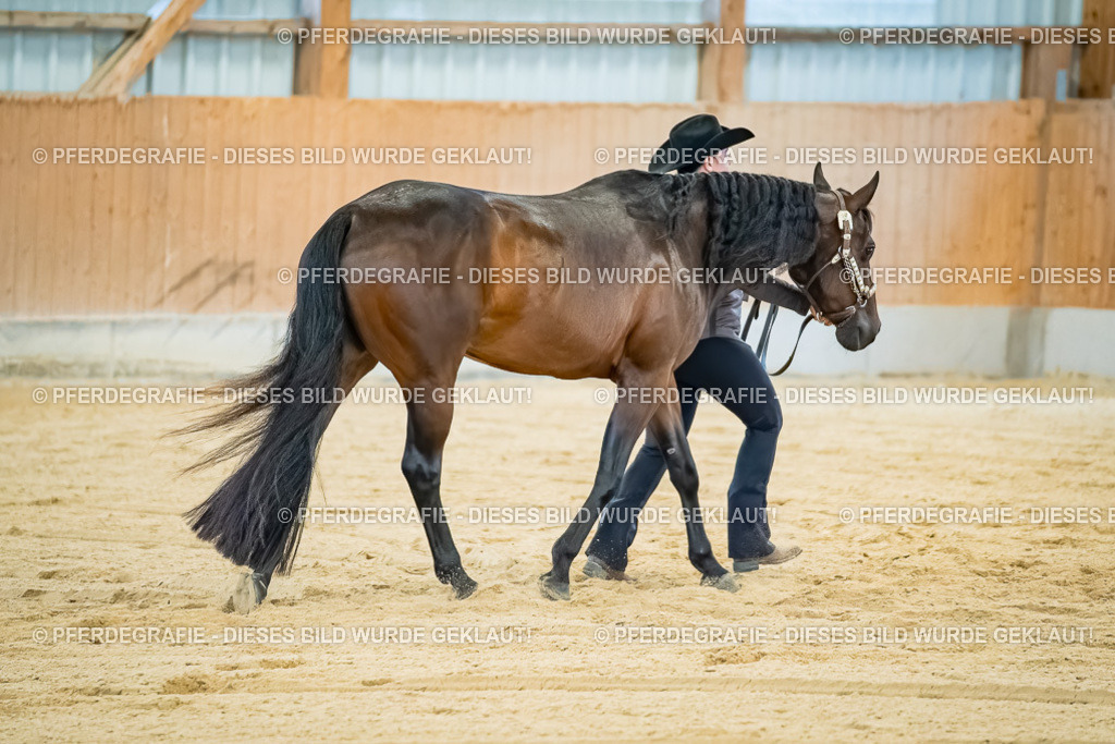 DSC09839 | Pferdegrafie