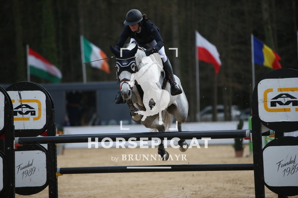 PP018548 | Willkommen bei Brunnmayr - Design & Fotografie – Ihrem Spezialisten für Reitturniere und Pferdeveranstaltungen in Oberösterreich, Salzburg und Bayern! Seit über 17 Jahren sind wir leidenschaftlich dabei.