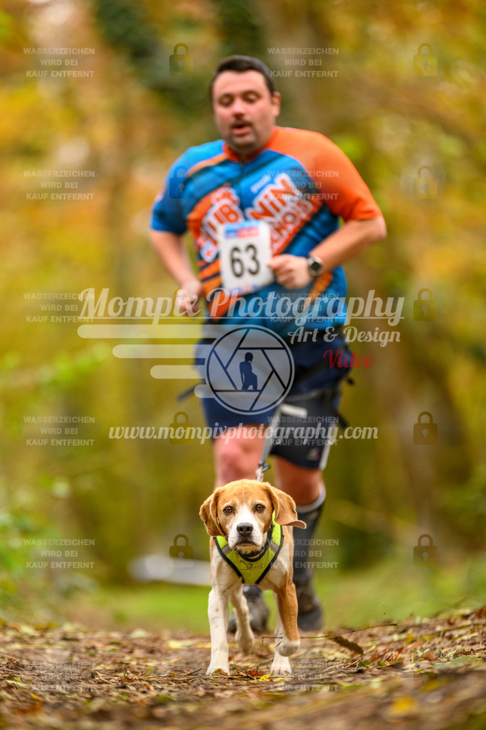 MompixPhotography_Bischwiller24_SA_Canicross-137 | PayLife