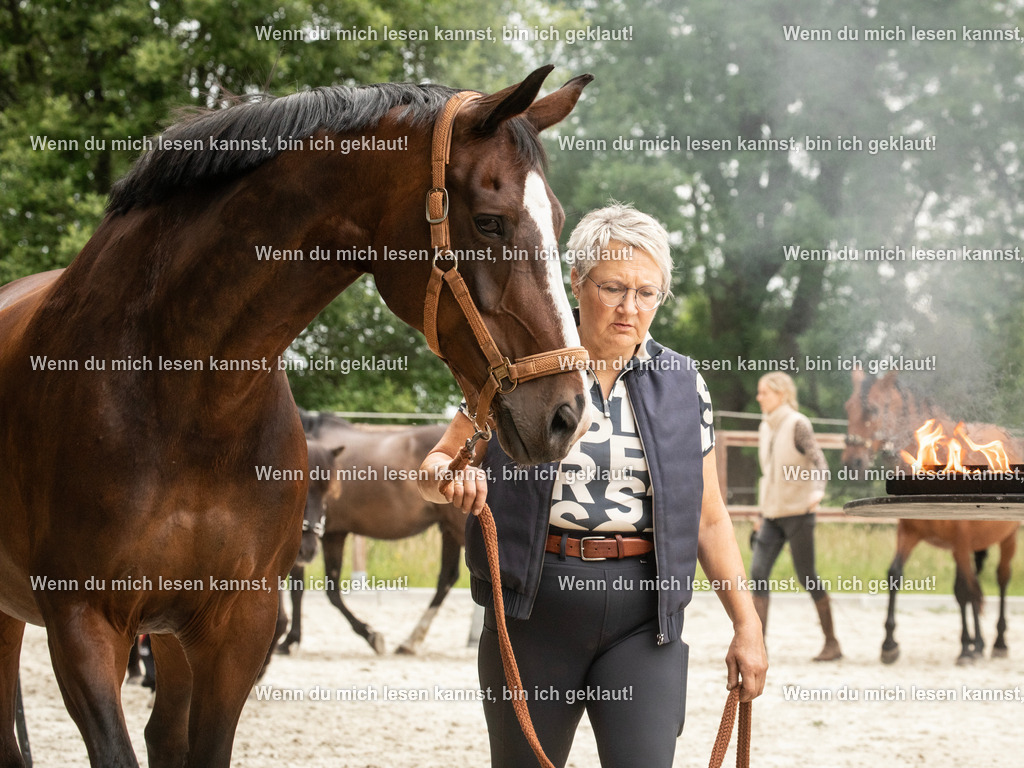 598A6344 | photographylinaismer - Realisiert mit Pictrs.com