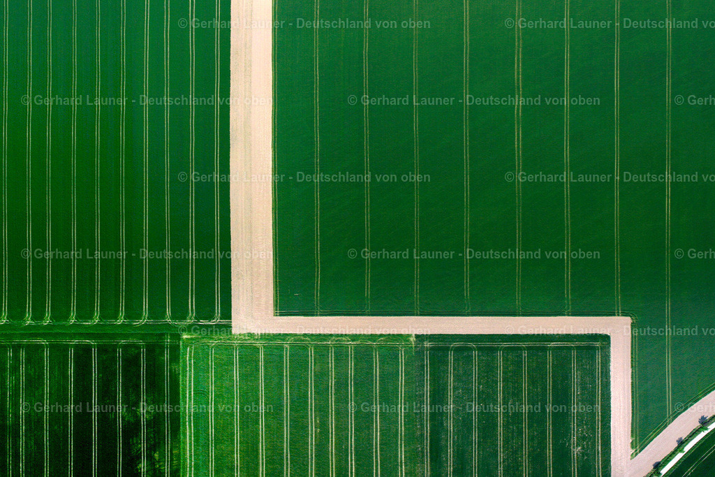 2620045 | Feldstrukturen