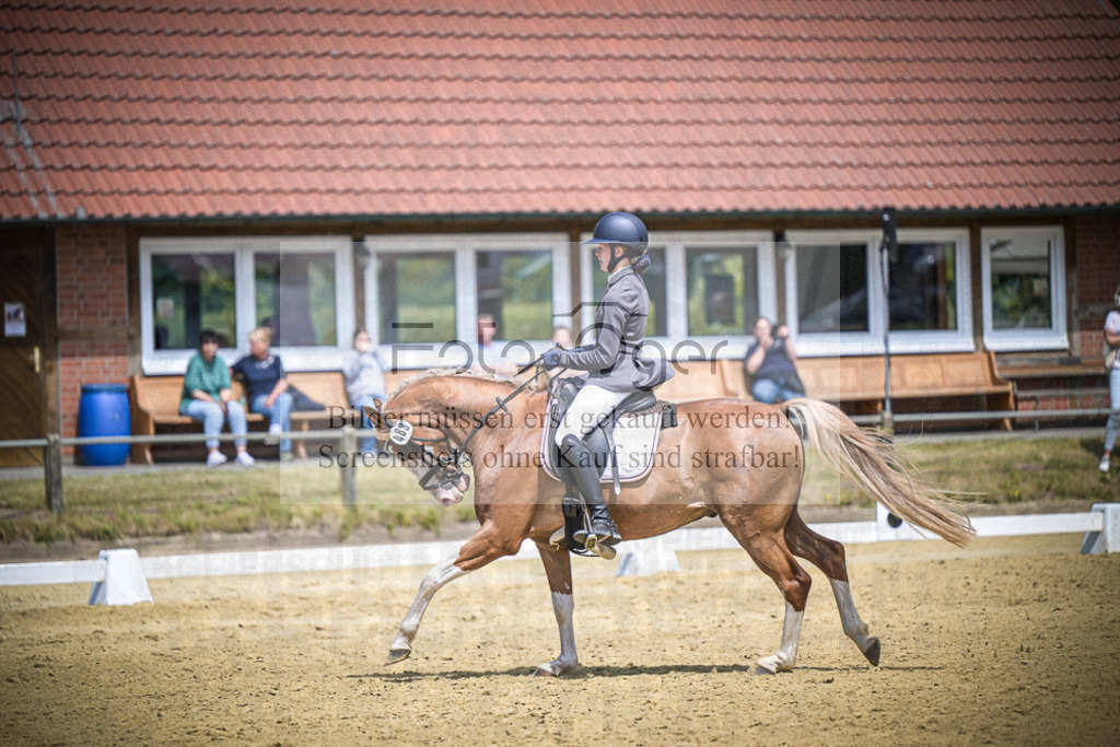 DOS_3130 | Entdecke hochwertige Reitturnierfotos von Foto Oger. Professionell, emotional und authentisch – jetzt Lieblingsmomente im Shop bestellen.Deutschlandweite Turnierfotografie. - Realisiert mit Pictrs.com