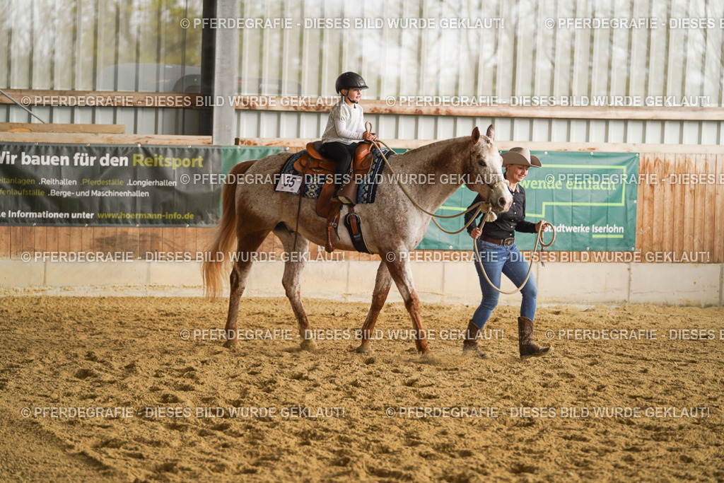 DSC00733 | Pferdegrafie