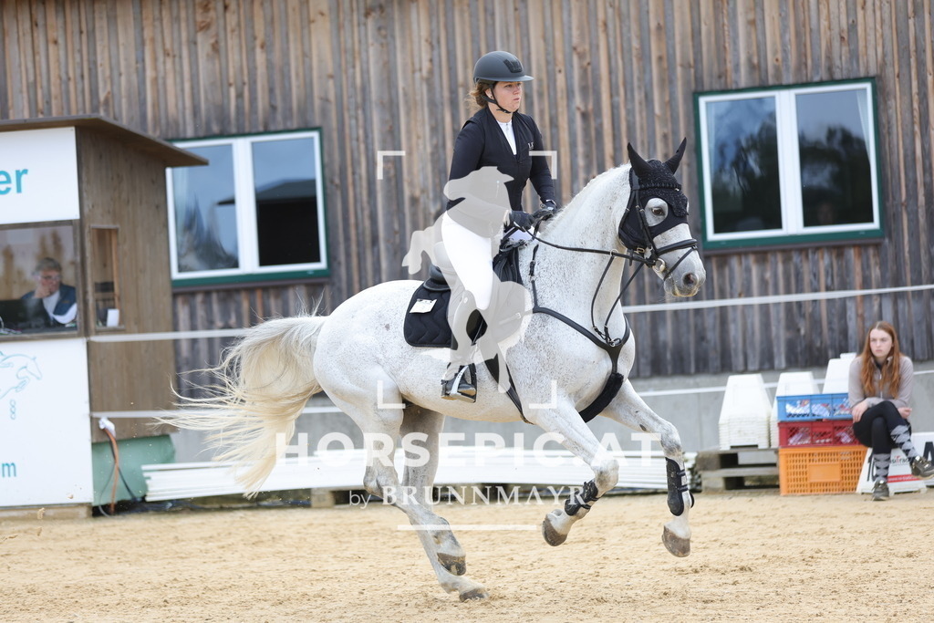 0P6A8879 | Willkommen bei Brunnmayr - Design & Fotografie – Ihrem Spezialisten für Reitturniere und Pferdeveranstaltungen in Oberösterreich, Salzburg und Bayern! Seit über 17 Jahren sind wir leidenschaftlich dabei.
