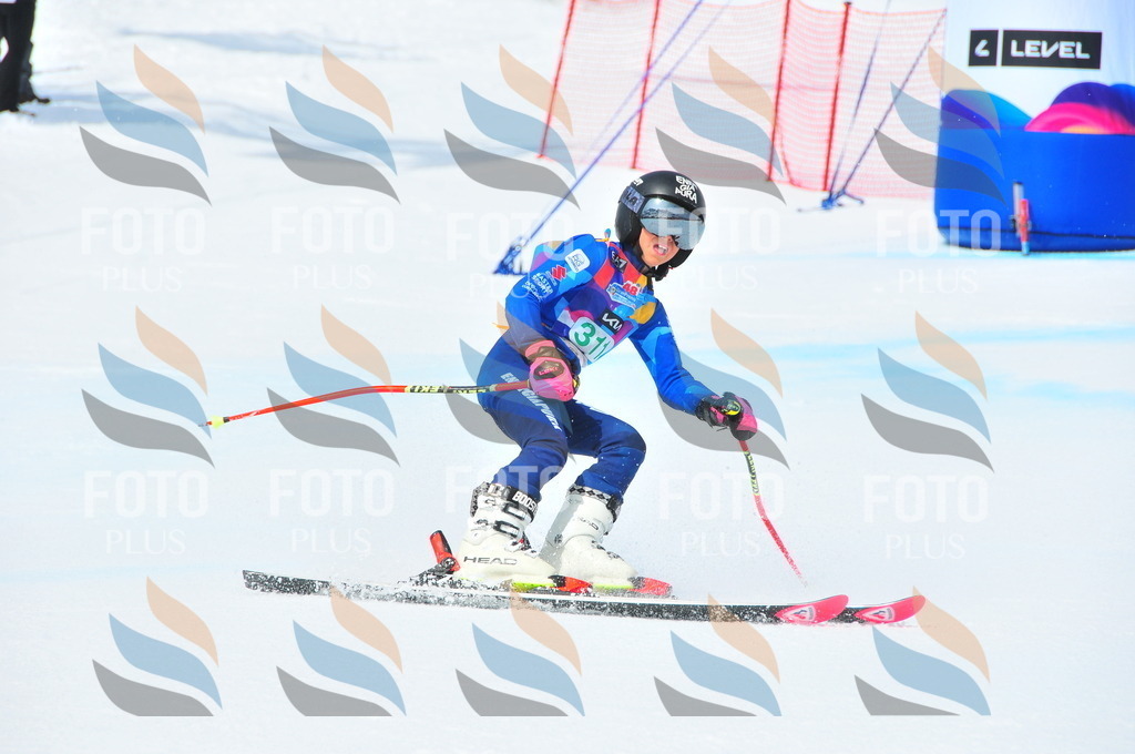 DSC_2873 | holidayphoto