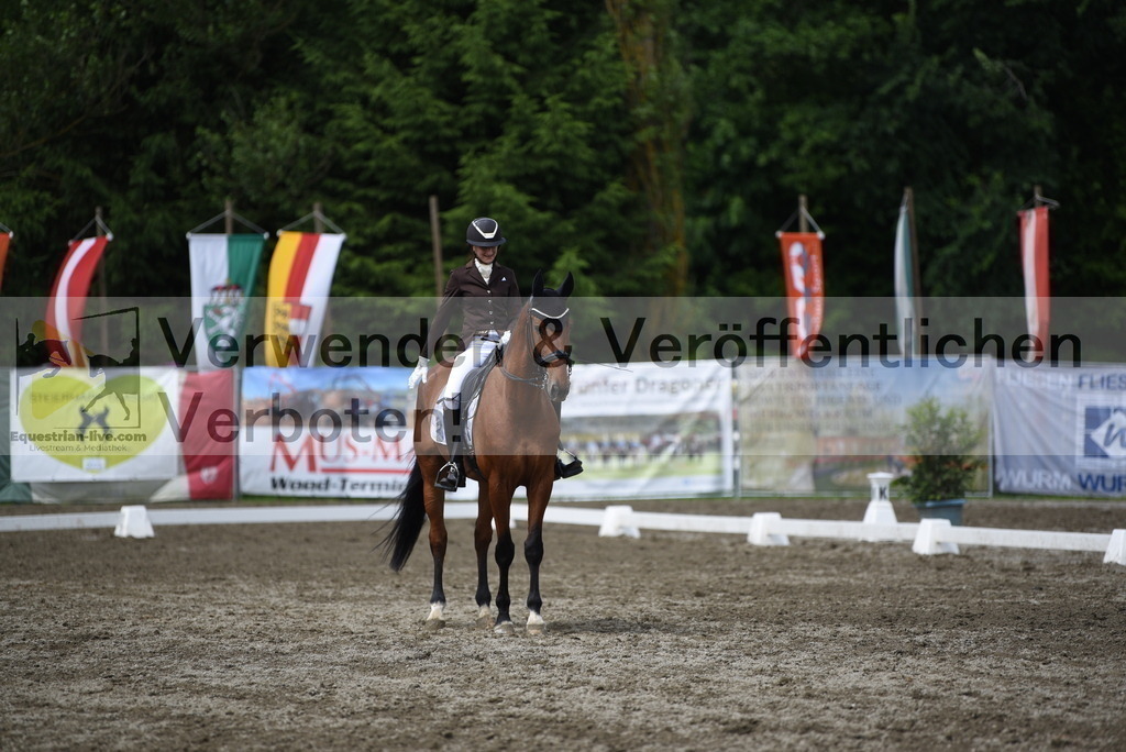 DSC_0851 | equestrian-live-com