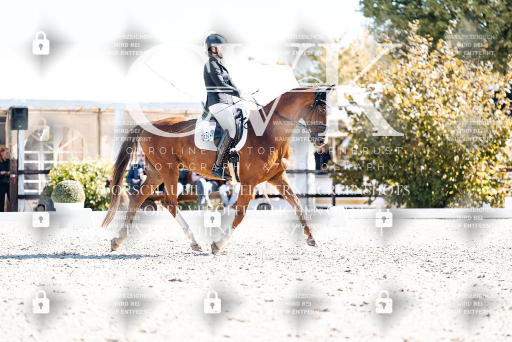 CK909144 | Turnierfotografie Pferdefotografie Trier Rheinland-Pfalz Pferdesport Reitsport Tierfotografie Sportfotografie Pferdevideo Pferdevideografie Equestrianvideography equestrianphotography  - Realisiert mit Pictrs.com