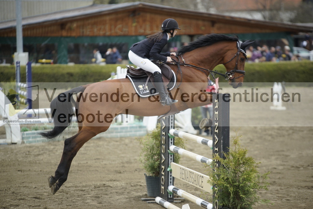 _DSC7347 | equestrian-live-com