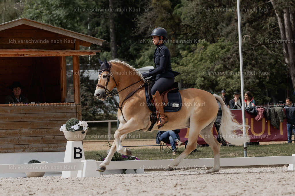 WE_DR_Stoib_308_PI2025_245 | Pferd International München 2025