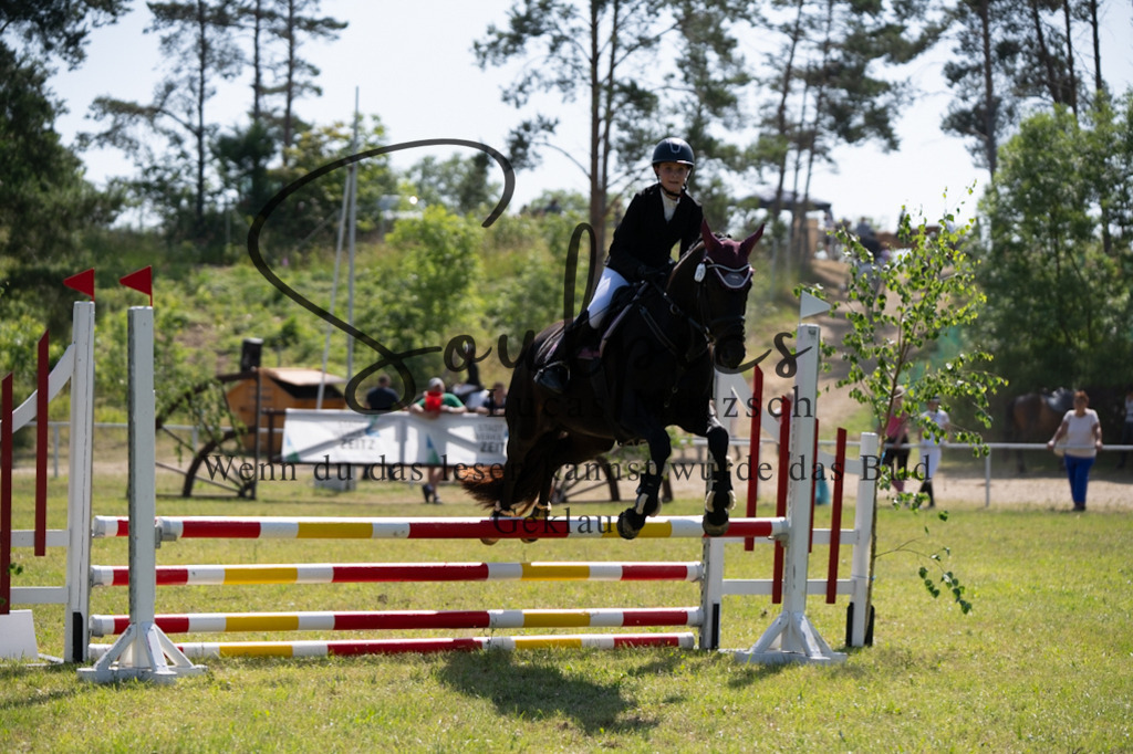 A7V05567 | Pferdefotograf