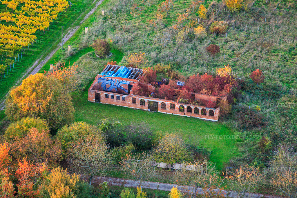 Luftbild: Zugewucherte Bauruine ohne Dach auf einem Feld in Barbelroth im Bundesland Rheinland-Pfalz in Deutschland. Foto: IMG_150419.jpg vom 15.10.2025 durch Werner Riehm/FLY-FOTO.de