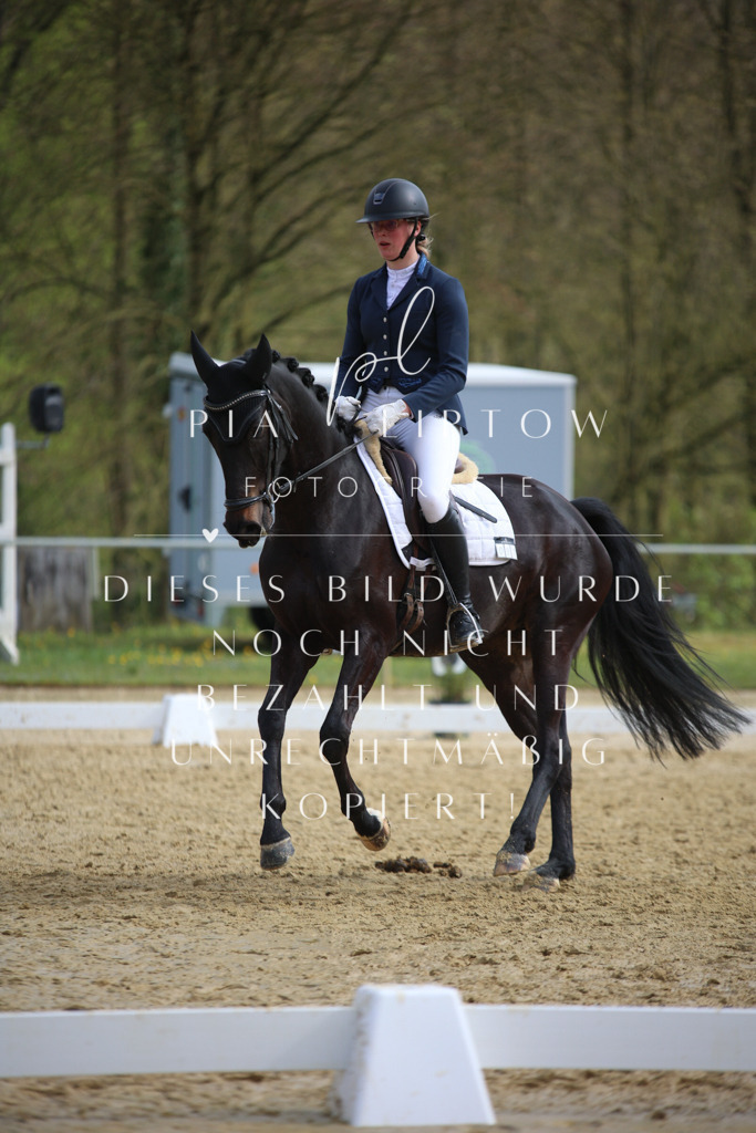 IMGT6327 | pl-fotografie