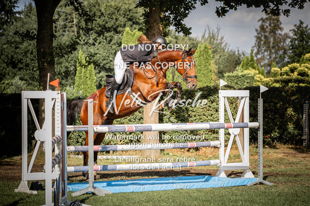 nelerasche_SprM_120Ede_48 | nelerasche