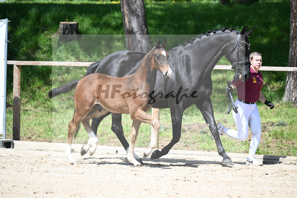 Escaneno x Negro_HF_Eder_11240514 | hf-fotografie - Realisiert mit Pictrs.com