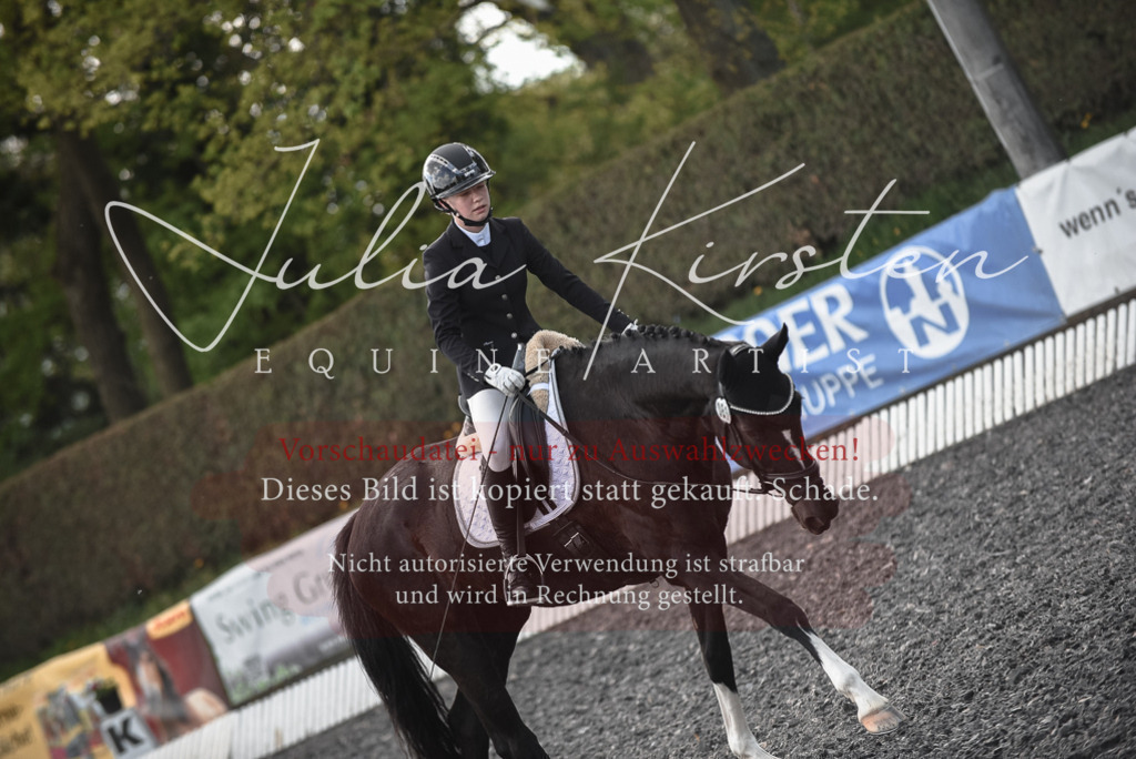 20230513_JK-Röhrsdorf-14-633 | Pferde- und Turnierfotografie in Westsachsen. Pferdeportraits, Auftragszeichnungen und intuitive Kunst.