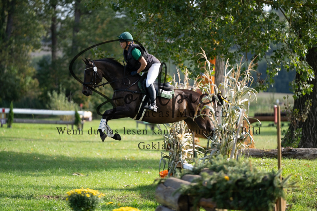 A7V03202 | Pferdefotograf