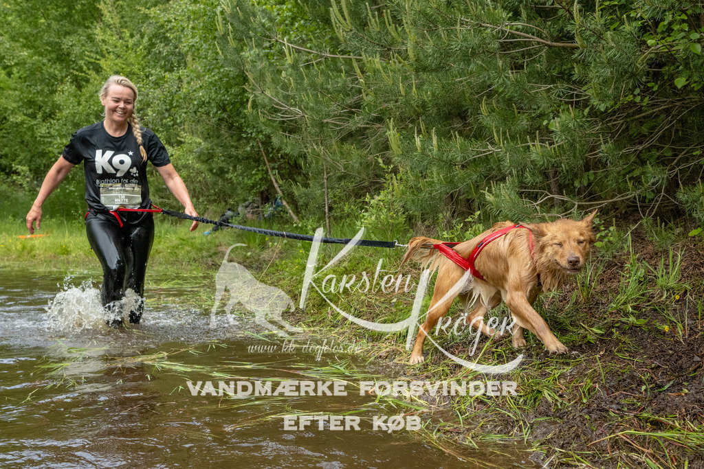 1110DKK994221 | kk-dogfotos