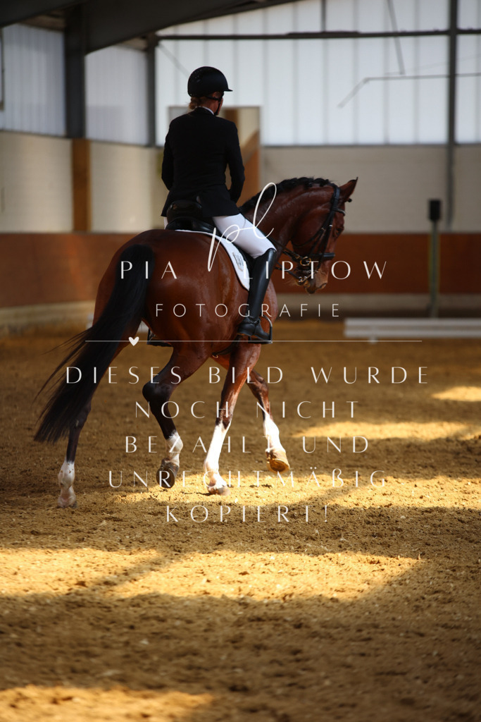 IMGT8430 | pl-fotografie