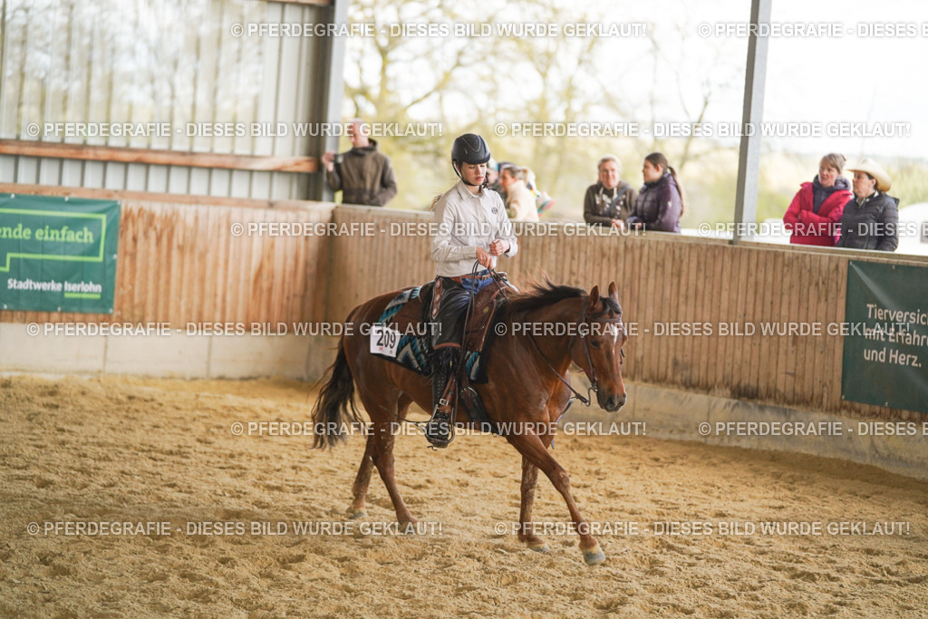 DSC08854 | Pferdegrafie