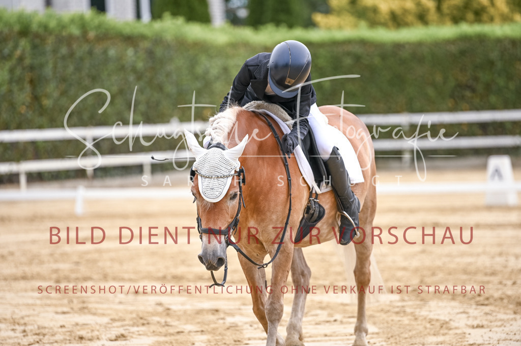 Schugtsche-Aluta25-42.EDressur -99 | Schugtsche Fotografie - Realisiert mit Pictrs.com