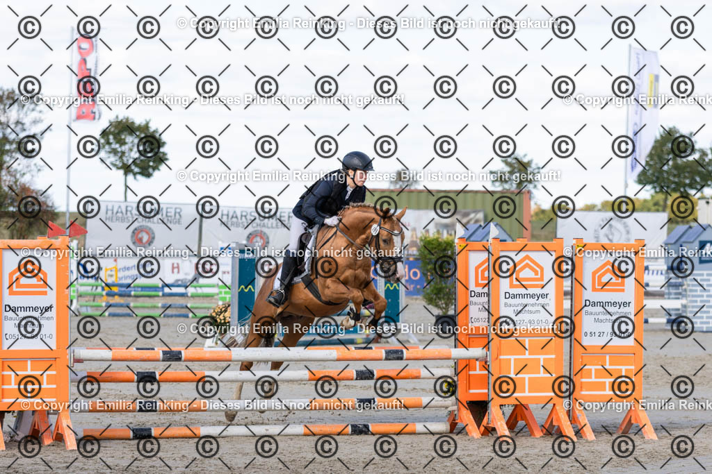 CL5A4121 | Emilia Reinking Fotografie - Realisiert mit Pictrs.com