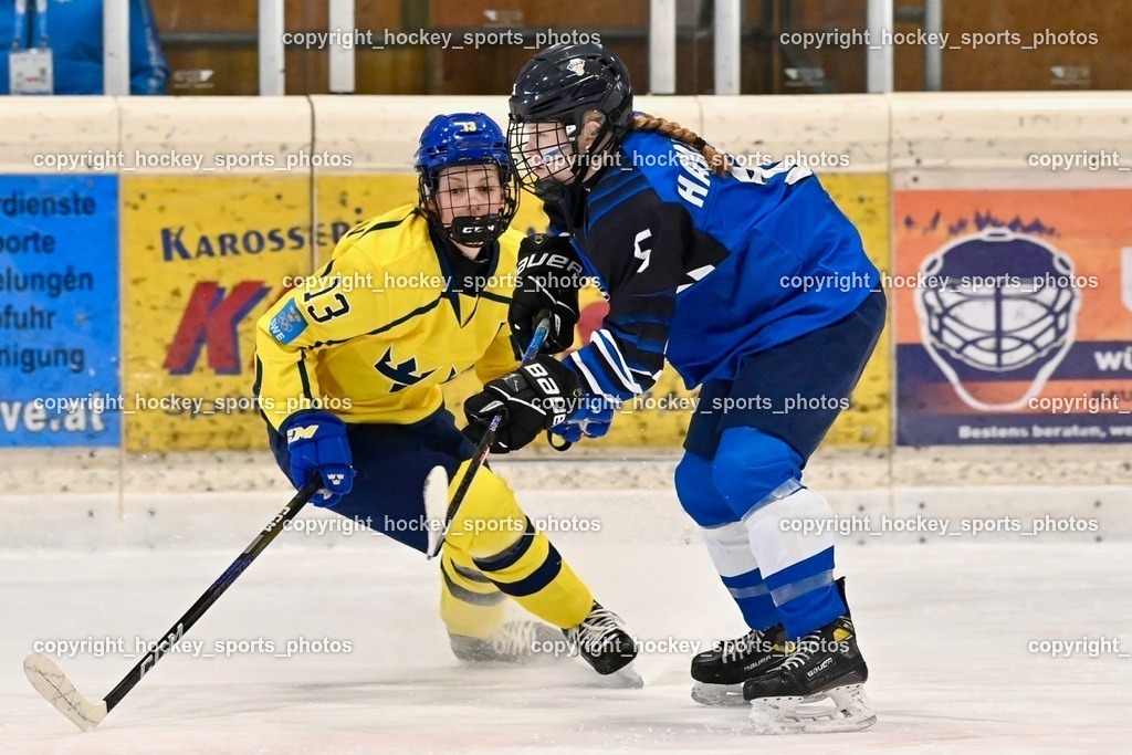 BST_5326 | hockey sports photos, Pressefotos, Sportfotos, hockey247, win 2day icehockeyleague, Handball Austria, Floorball Austria, ÖVV, Kärntner Eishockeyverband, KEHV, KFV, Kärntner Fussballverband, Österreichischer Volleyballverband, Alps Hockey League, ÖFB, 