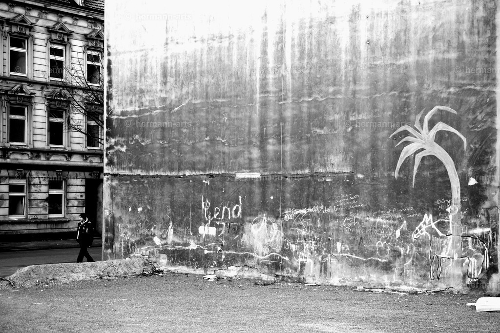 Trees_fine_Art_0007 | Photo Foto Kunst Art schwarzweiss Bilder Rheine Münster Berlin Blumen 