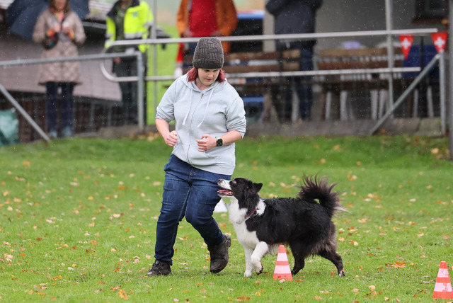 2025_Rally_Obedience_SM-37 | Ich fotografiere Hundeausstellungen, Sportanlässe, Zuchtstätten, Hundezucht, Hundeportrait, Lagotto - Realisiert mit Pictrs.com