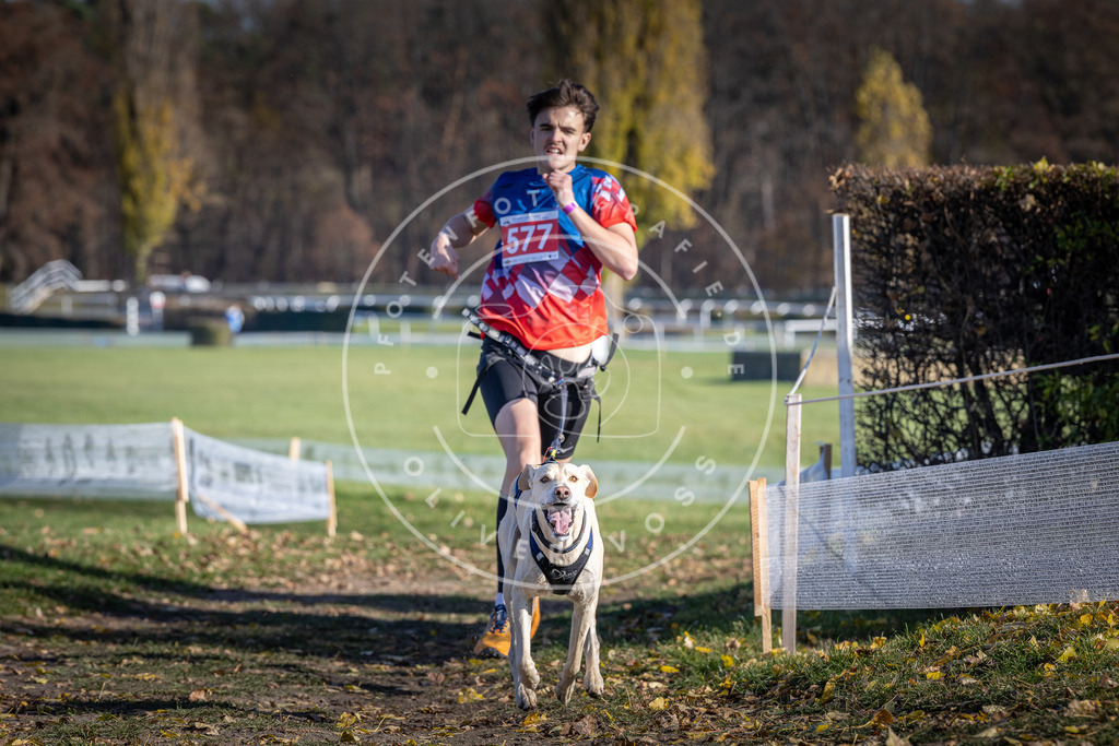 CaniXpix_DV3A8980 | Hundefotografie, Tierfotograf, Pfotenfotografie, Fotoshooting Hund, Hunde Portrait, Hundesport, Hundeportraits, Heideshooting, Hunde, Sportfotograf, Hundefotograf, Turnierhundsport, THS,  - Realisiert mit Pictrs.com