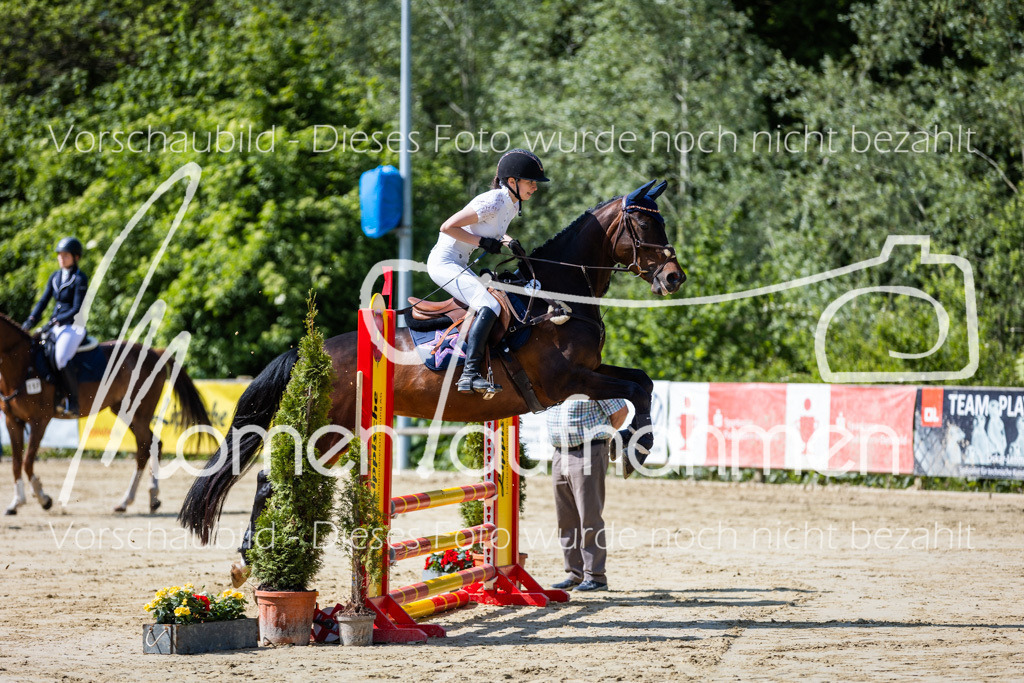 Donop24-ESpr-015 | MomenTaufnahmen Pferdesportfotos