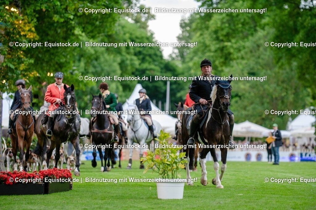 20250606_Lange-Pferdenacht_0512 | Foto: Thomas Hartig