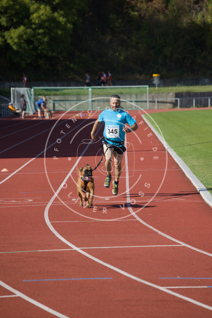 0L8A9101 | Hundefotografie, Tierfotograf, Pfotenfotografie, Fotoshooting Hund, Hunde Portrait, Hundesport, Hundeportraits, Heideshooting, Hunde, Sportfotograf, Hundefotograf, Turnierhundsport, THS,  - Realisiert mit Pictrs.com