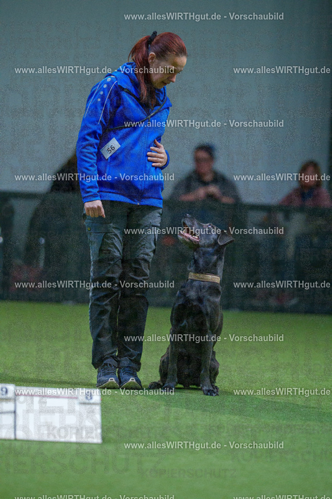 7R502464 | Professionelle Tierfotografie in Mönchengladbach von Daniel Wirth (allesWIRTHgut). Liebevolle & natürliche Bilder von Hunden & Katzen für unvergessliche Erinnerungen.