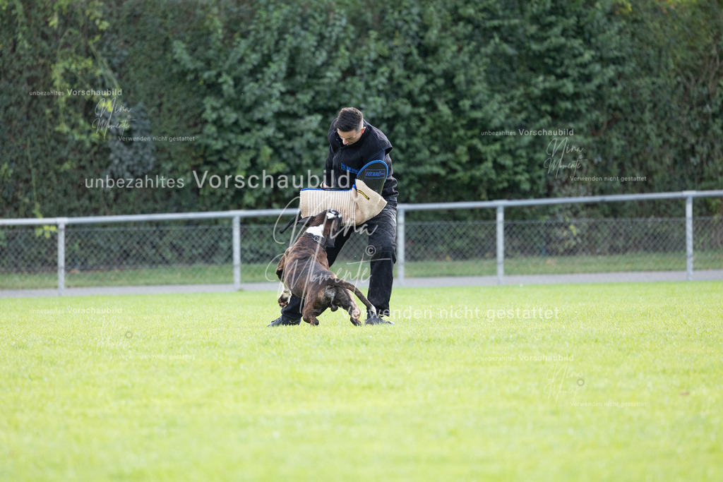 _16A6518 | Einzigartige Fotos von Hunden & Menschen –Actionfotos, Portraits, Vereinsaufnahmen & Paarshootings – authentisch, lebendig & mit Herz.