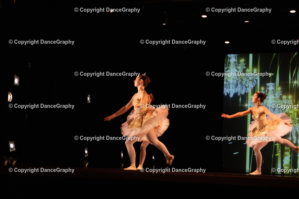 GPHY6557 | DanceGraphy - Realisiert mit Pictrs.com