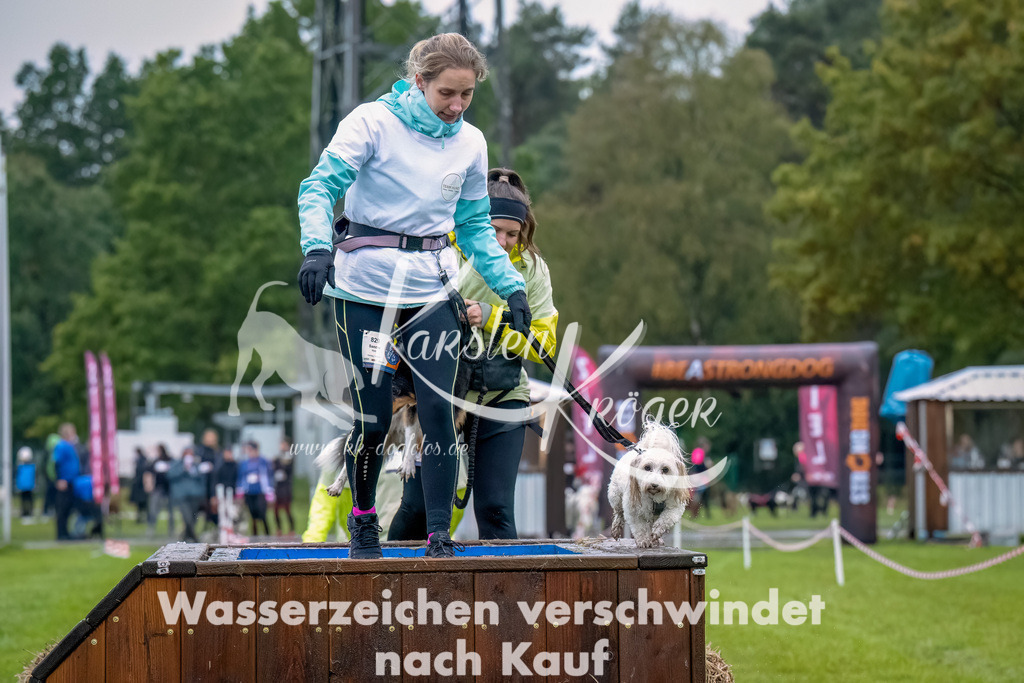 1026--11 | kk-dogfotos