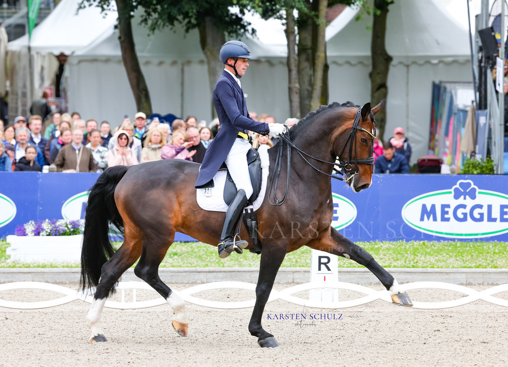 1B3A7569 | Reitsport Reiten