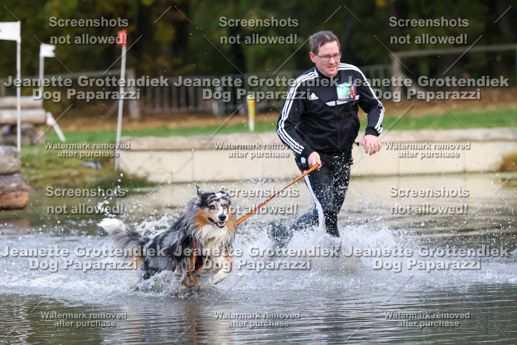 Dog Paparazzi - Strongdog 10-25-6332 | Dog Paparazzi Jeanette Grottendiek Fotografie & Videografie - Realisiert mit Pictrs.com