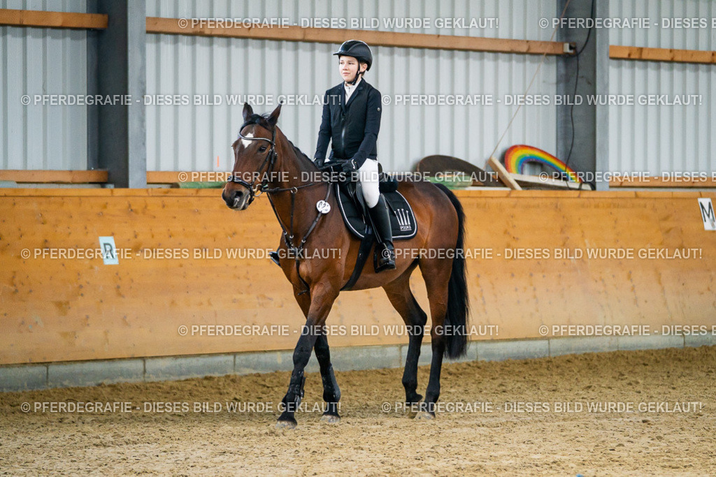 DSC00635 | Pferdegrafie