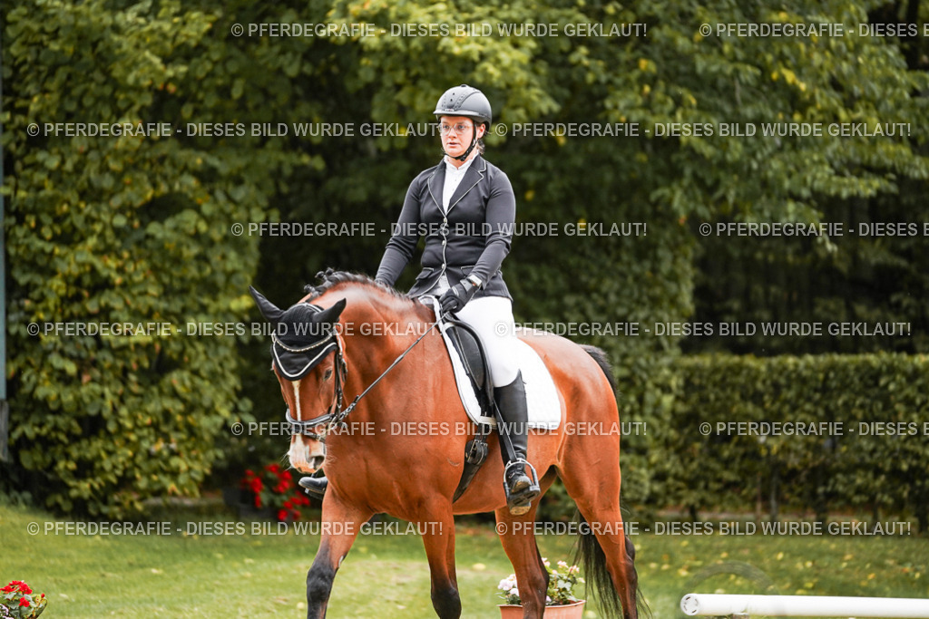 DSC07150 | Pferdegrafie