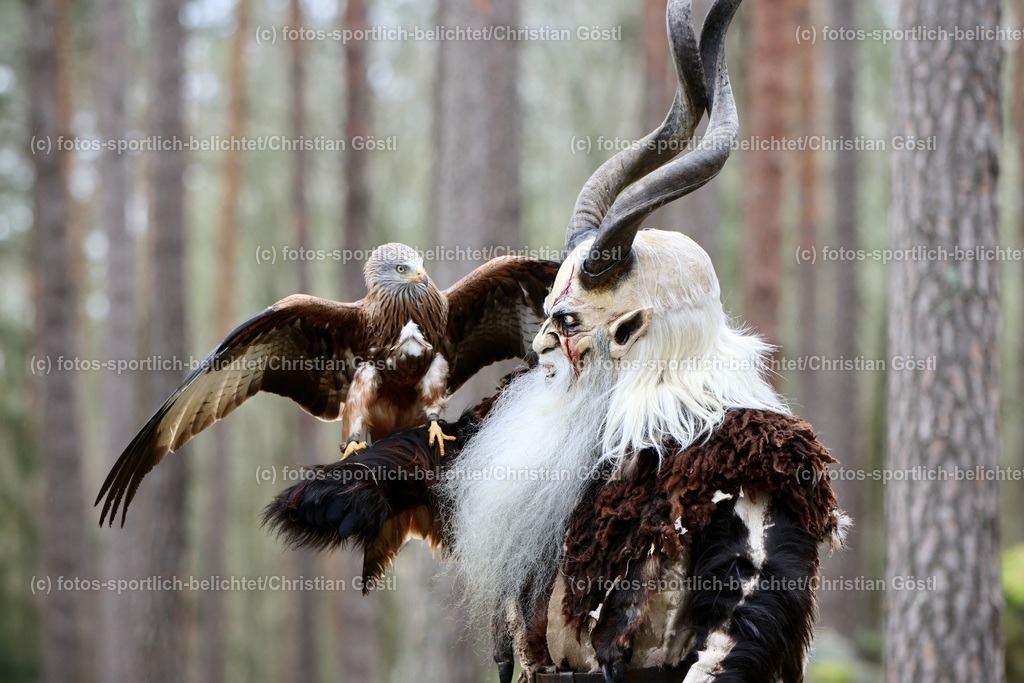 2X5A4742 | fotos-sportlich-belichtet - Realisiert mit Pictrs.com