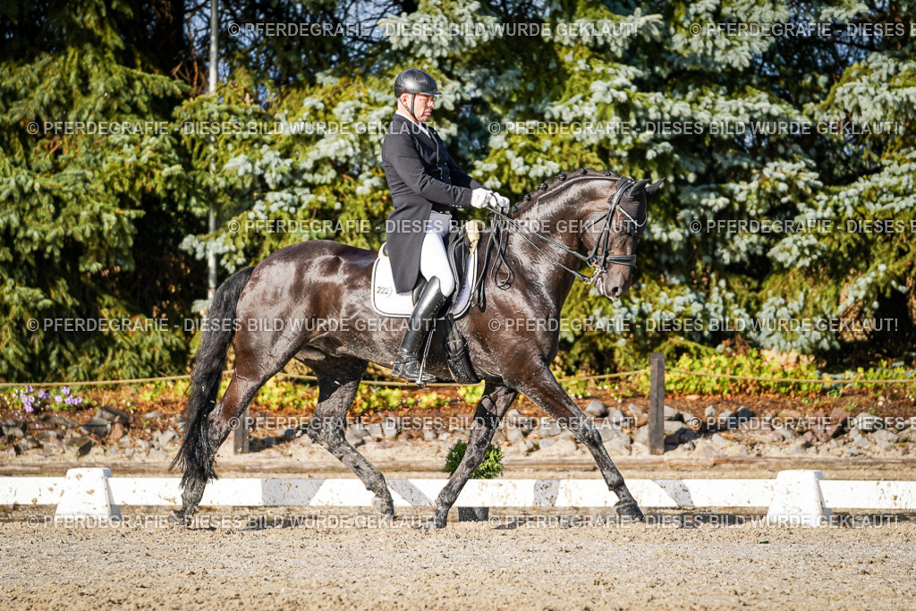 DSC00719 | Pferdegrafie