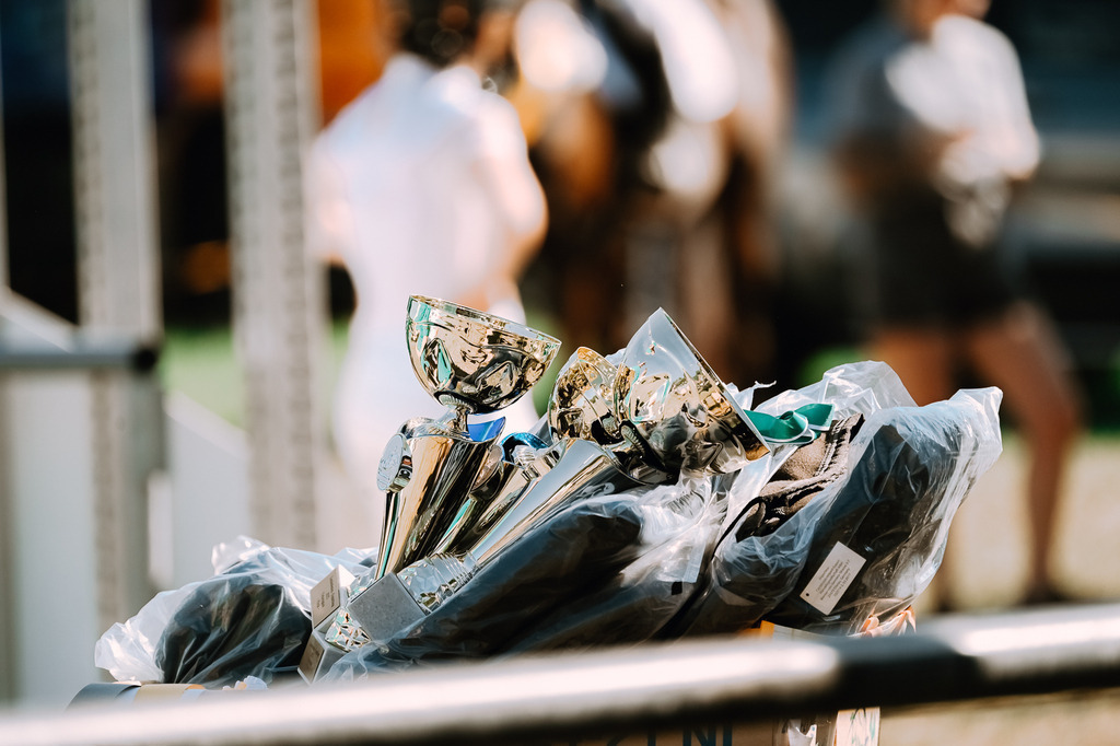 DSC_7086 | Pferde- und Turnierfotografie in Westsachsen. Pferdeportraits, Auftragszeichnungen und intuitive Kunst.