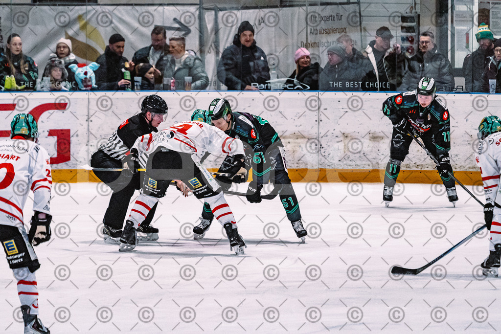 Alligators_vs_Toelz_15_02_2026-31 | Höchstadt Alligators Fotogalerie: Eishockey-Action aus Franken. Professionelle Spielfotos, Portraits & Stadionbilder zum Download. Jetzt entdecken! - Realisiert mit Pictrs.com