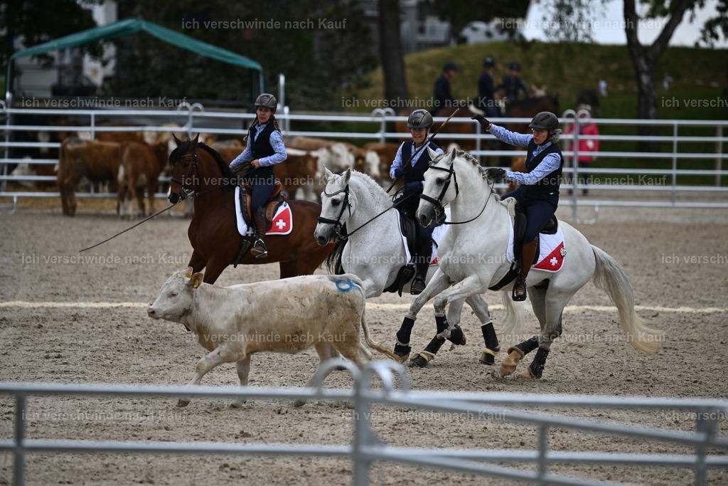 PI26_COW_Sara Landvogt226_7518.JPG | working equitationturnier fotograf videograf stoibphotography marixx film working equitation deutschland reitsport turnierfotografie eventfotografie equestrian events