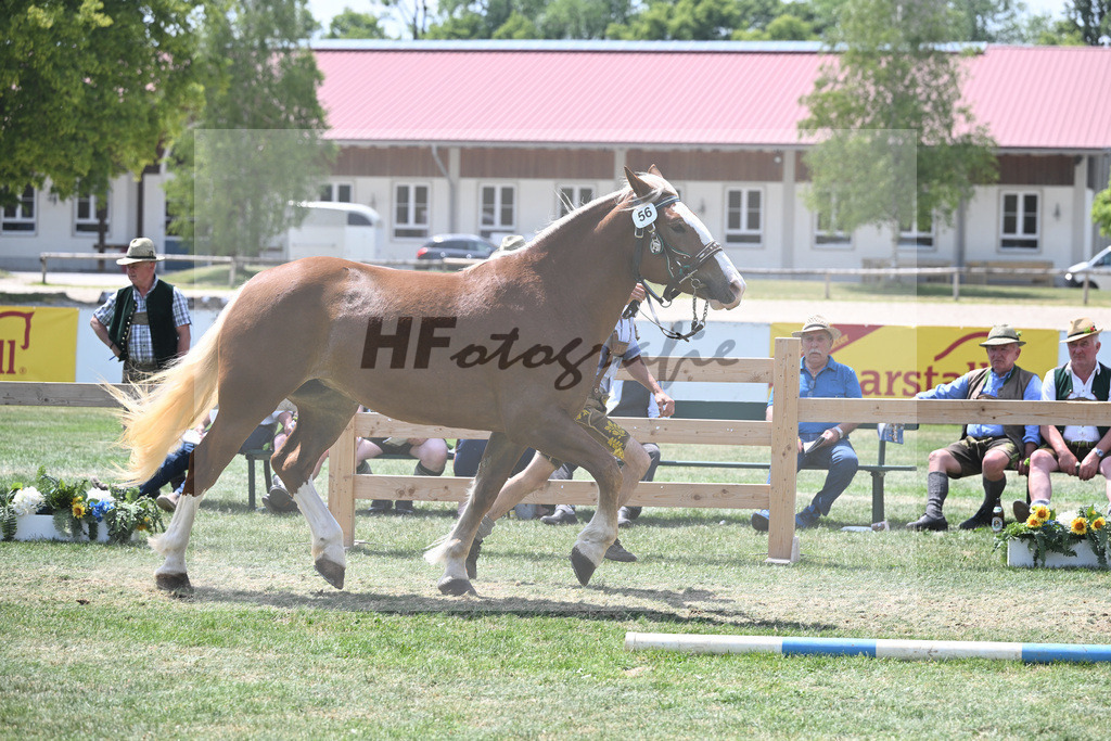 Kat-Nr. 56 Resi_Hell_20230905 | hf-fotografie - Realisiert mit Pictrs.com