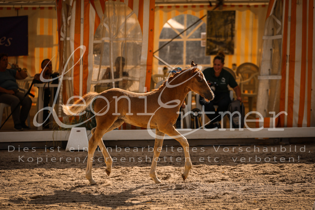 10.DoRP00177 | Leoni Ertmer Photography - Realisiert mit Pictrs.com