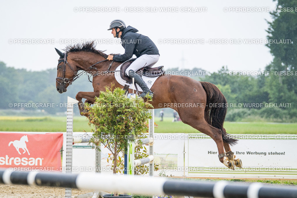 DSC01489 | Pferdegrafie