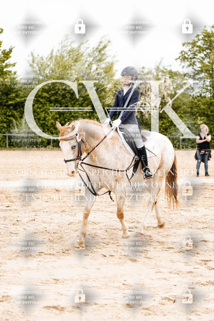 CK904239 | Turnierfotografie Pferdefotografie Trier Rheinland-Pfalz Pferdesport Reitsport Tierfotografie Sportfotografie Pferdevideo Pferdevideografie Equestrianvideography equestrianphotography  - Realisiert mit Pictrs.com