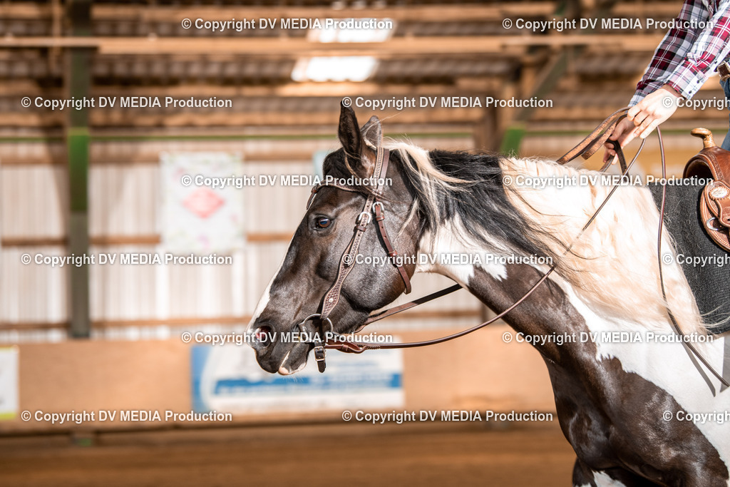 Balingen Tag 2-390 | dv-media-shop - Realisiert mit Pictrs.com